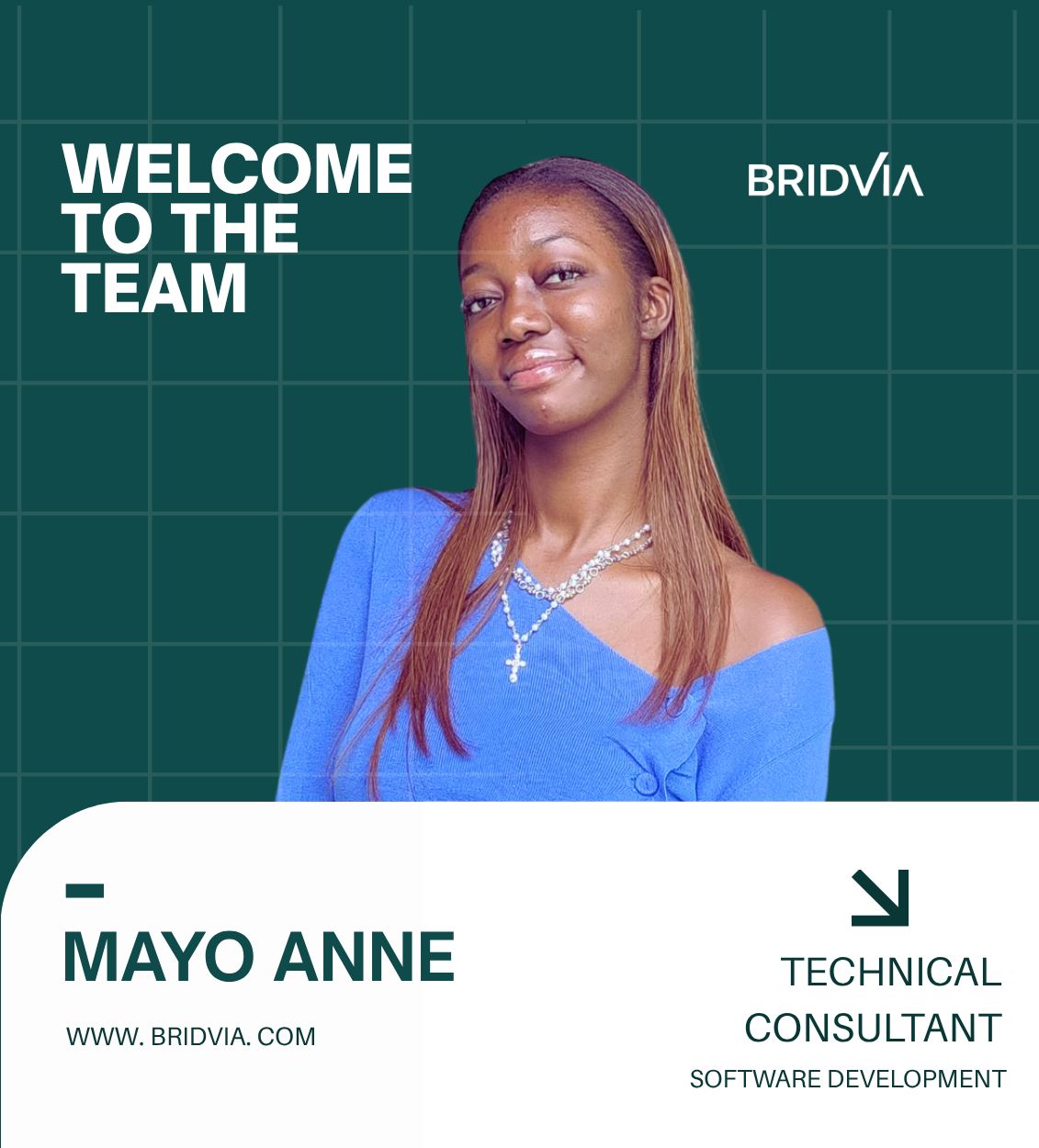 BRIDVIA senior technical consultant software development - Mayo Anne